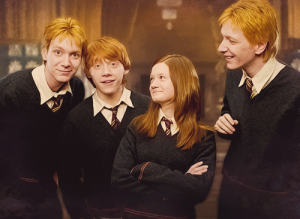 Reunião dos irmãos Weasley - Franquia Harry Potter